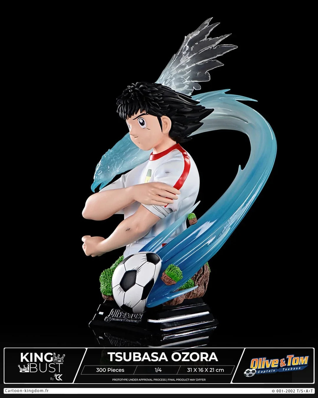 Captain Tsubasa (Olive et Tom): Tsubasa