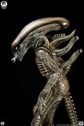 Alien (1979): Big Chap Deluxe 1:2 Scale