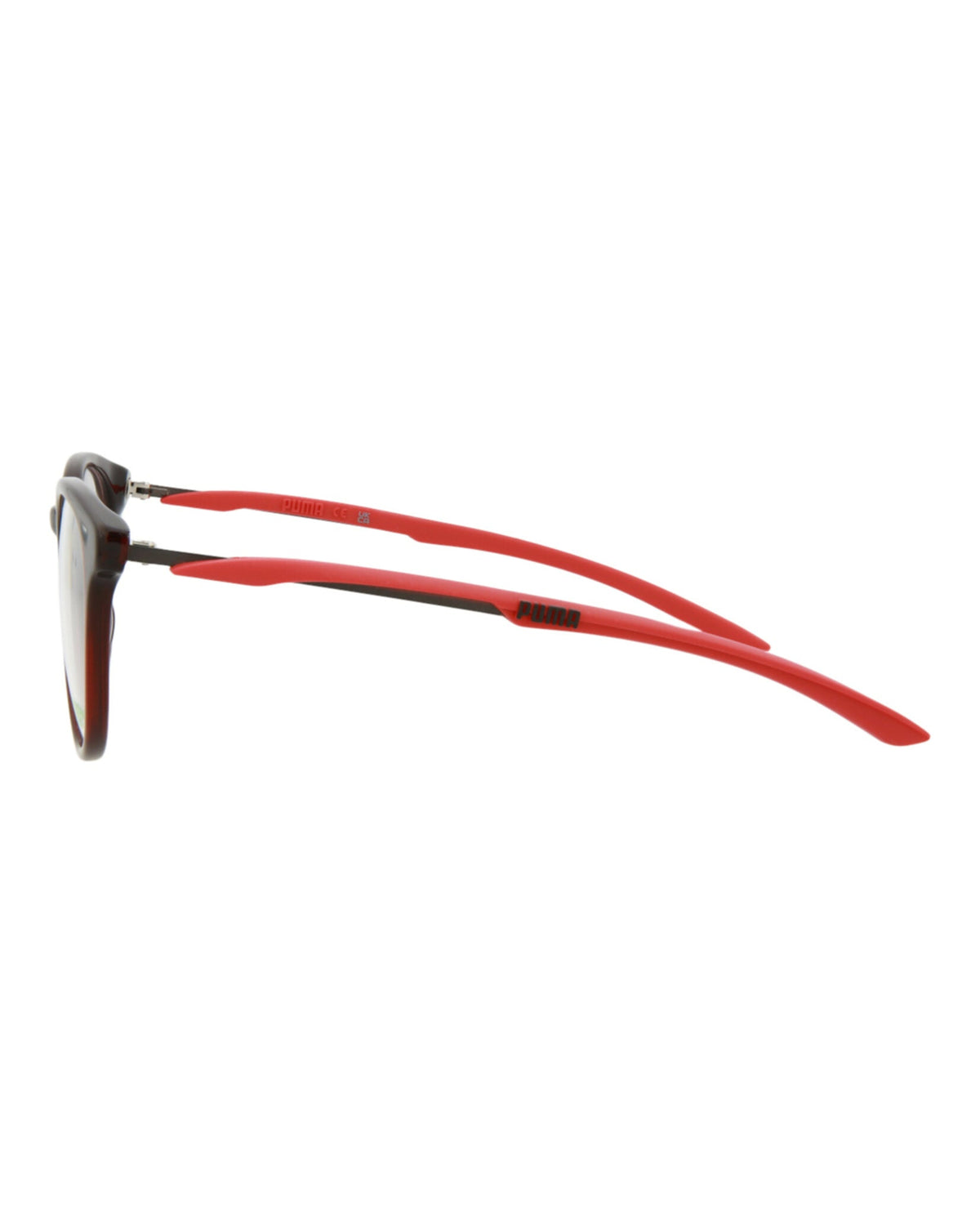 Round-Frame Acetate Optical Frames
