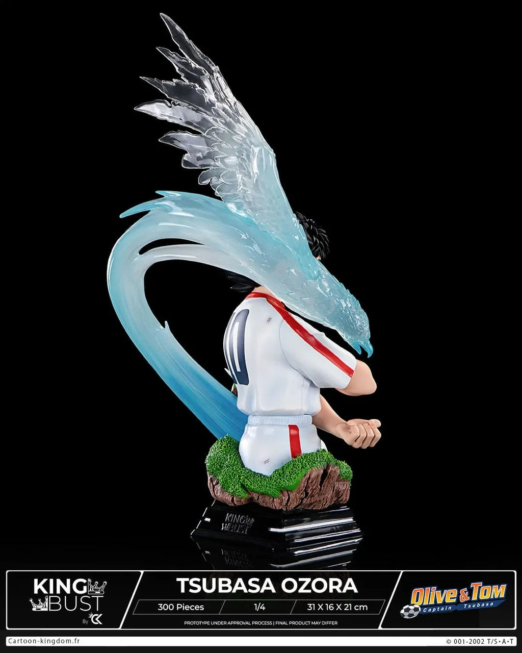 Captain Tsubasa (Olive et Tom): Tsubasa