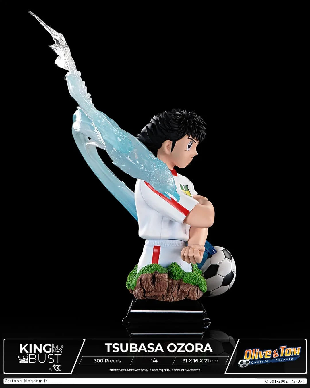 Captain Tsubasa (Olive et Tom): Tsubasa