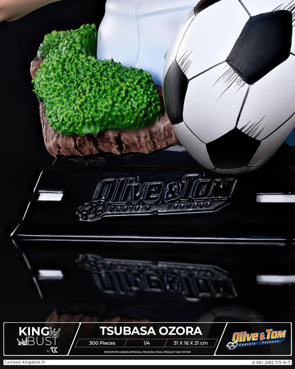 Captain Tsubasa (Olive et Tom): Tsubasa