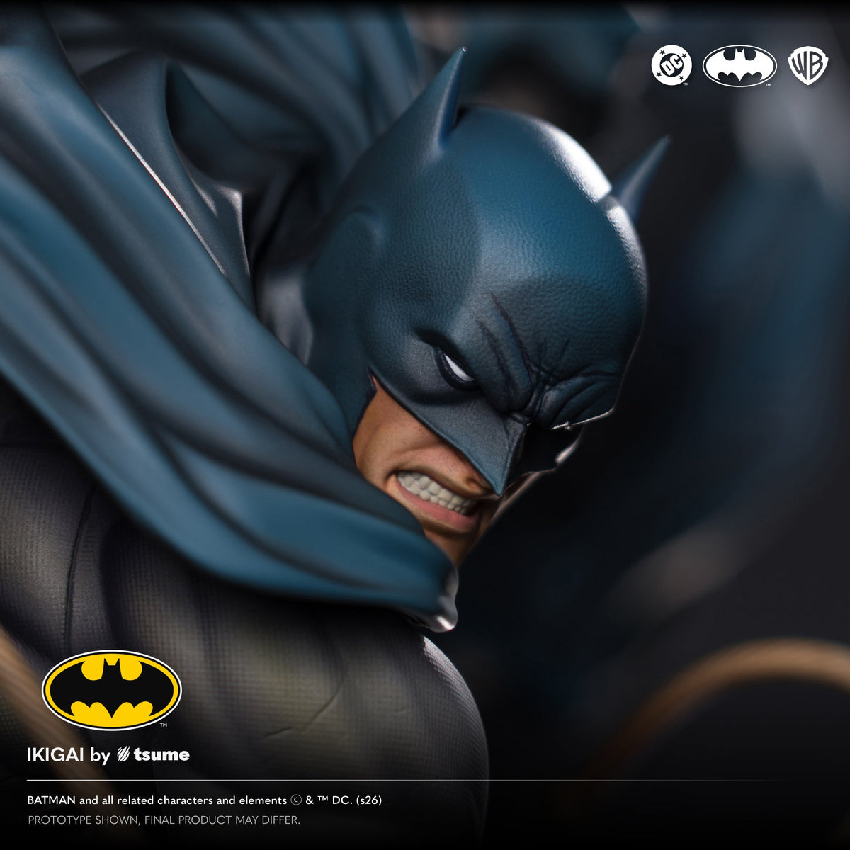 DC Batman Hush: Batman The Shadow of Gotham Rises Ikigai