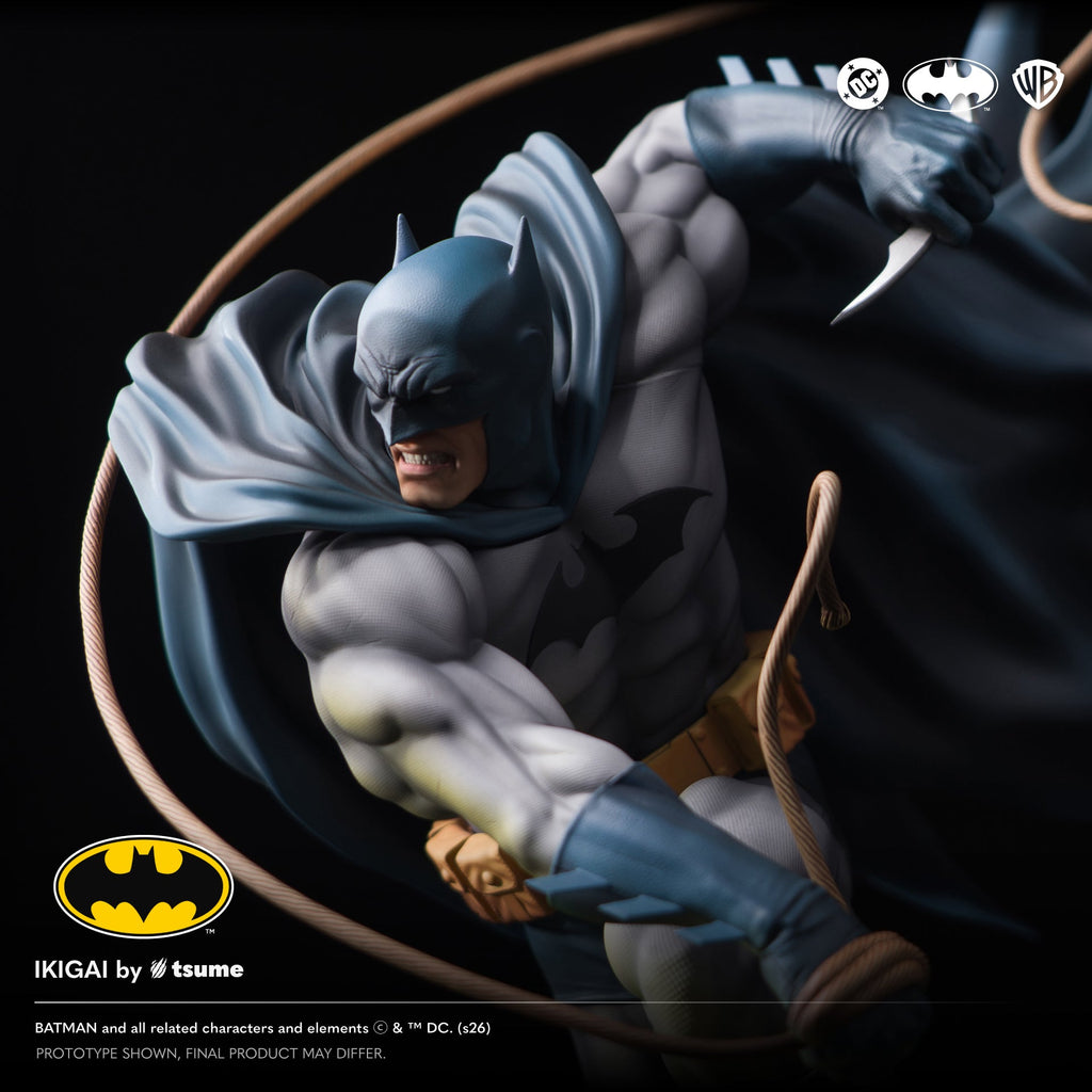 DC Batman Hush: Batman The Shadow of Gotham Rises Ikigai