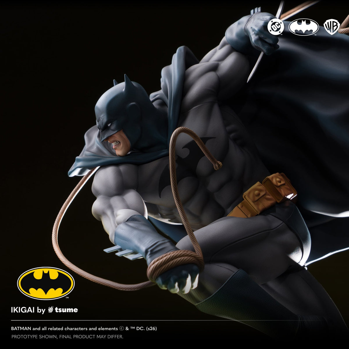 DC Batman Hush: Batman The Shadow of Gotham Rises Ikigai