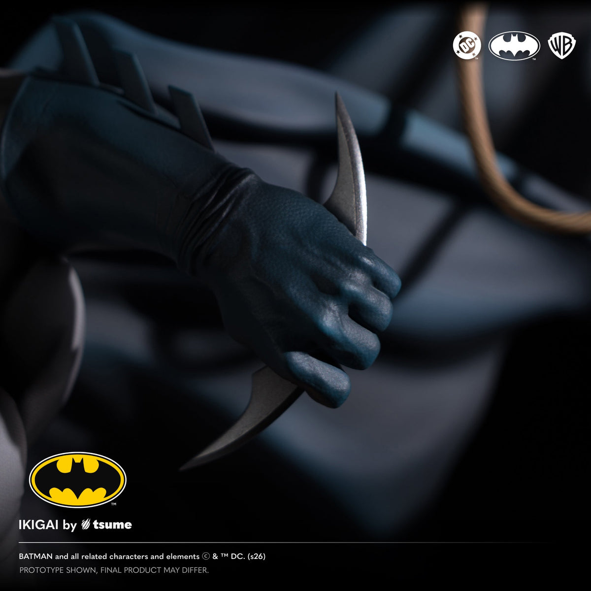 DC Batman Hush: Batman The Shadow of Gotham Rises Ikigai