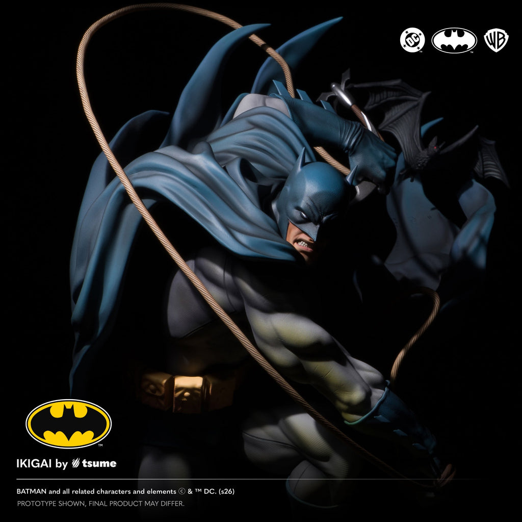 DC Batman Hush: Batman The Shadow of Gotham Rises Ikigai
