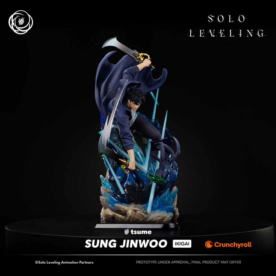 Solo Leveling: Sung Jinwoo Ikigai
