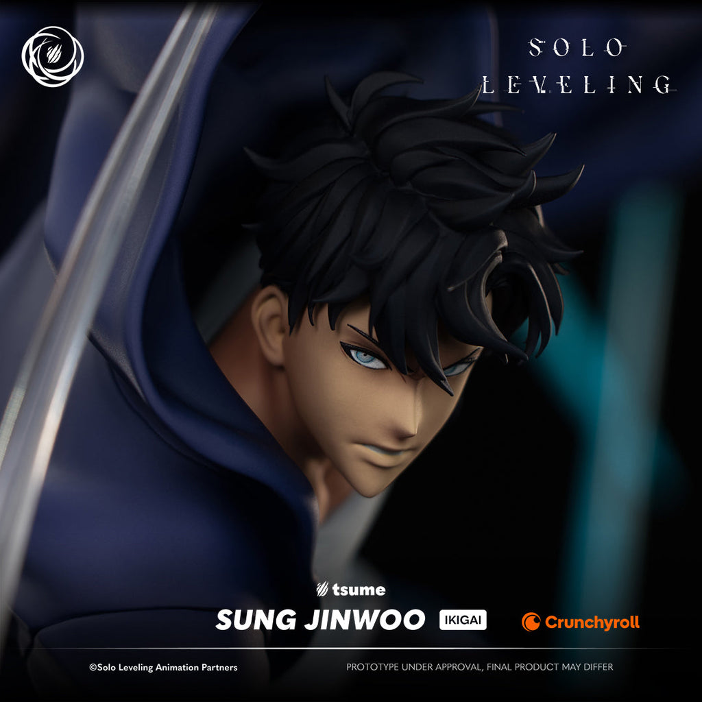 Solo Leveling: Sung Jinwoo Ikigai