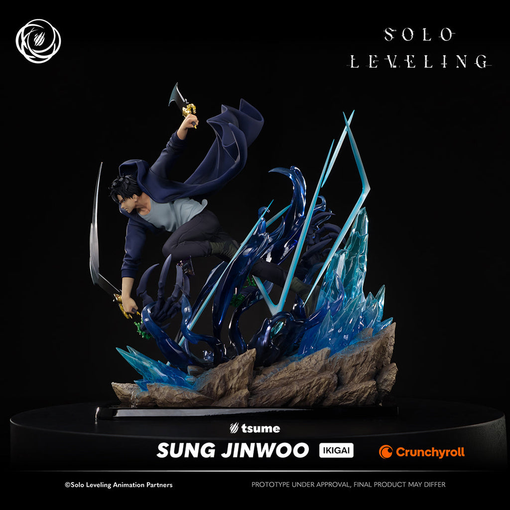 Solo Leveling: Sung Jinwoo Ikigai