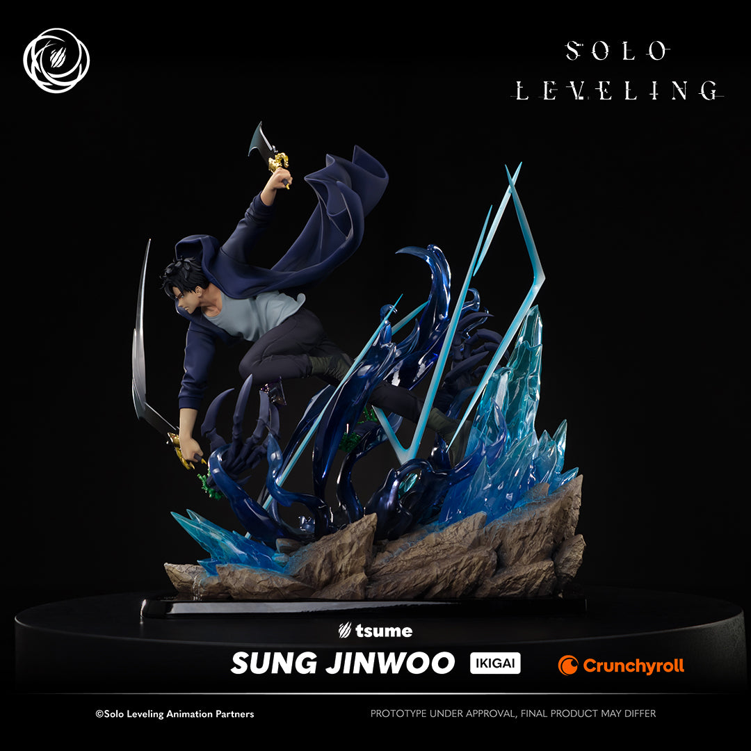 Solo Leveling: Sung Jinwoo Ikigai