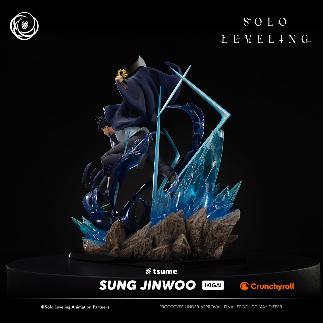 Solo Leveling: Sung Jinwoo Ikigai