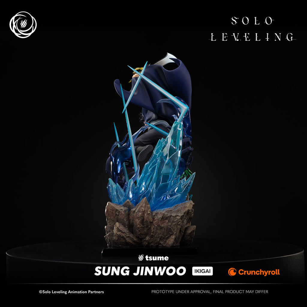 Solo Leveling: Sung Jinwoo Ikigai