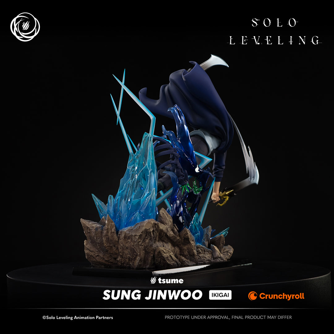 Solo Leveling: Sung Jinwoo Ikigai