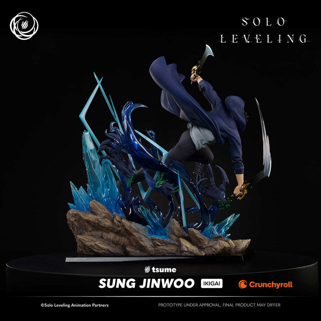 Solo Leveling: Sung Jinwoo Ikigai