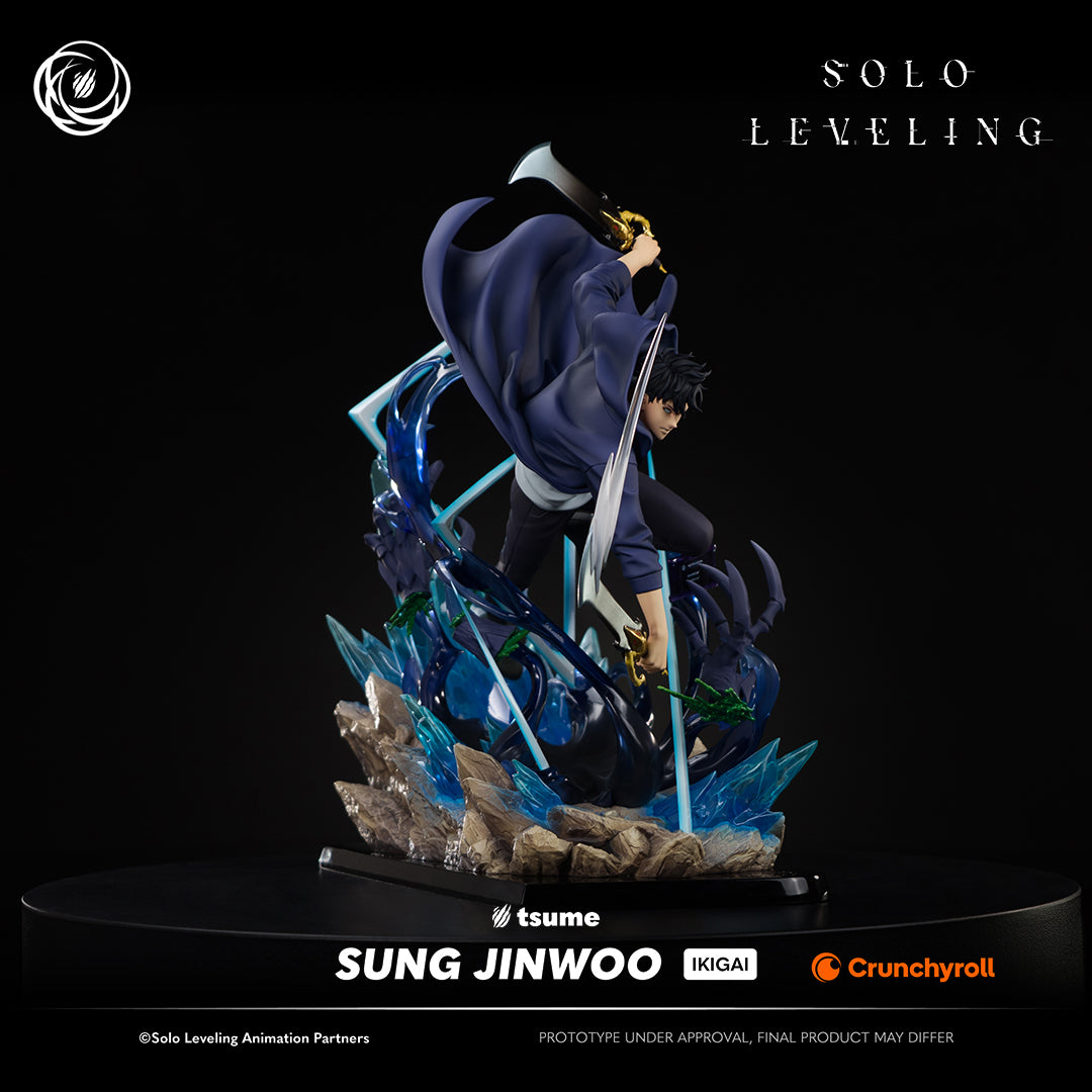 Solo Leveling: Sung Jinwoo Ikigai