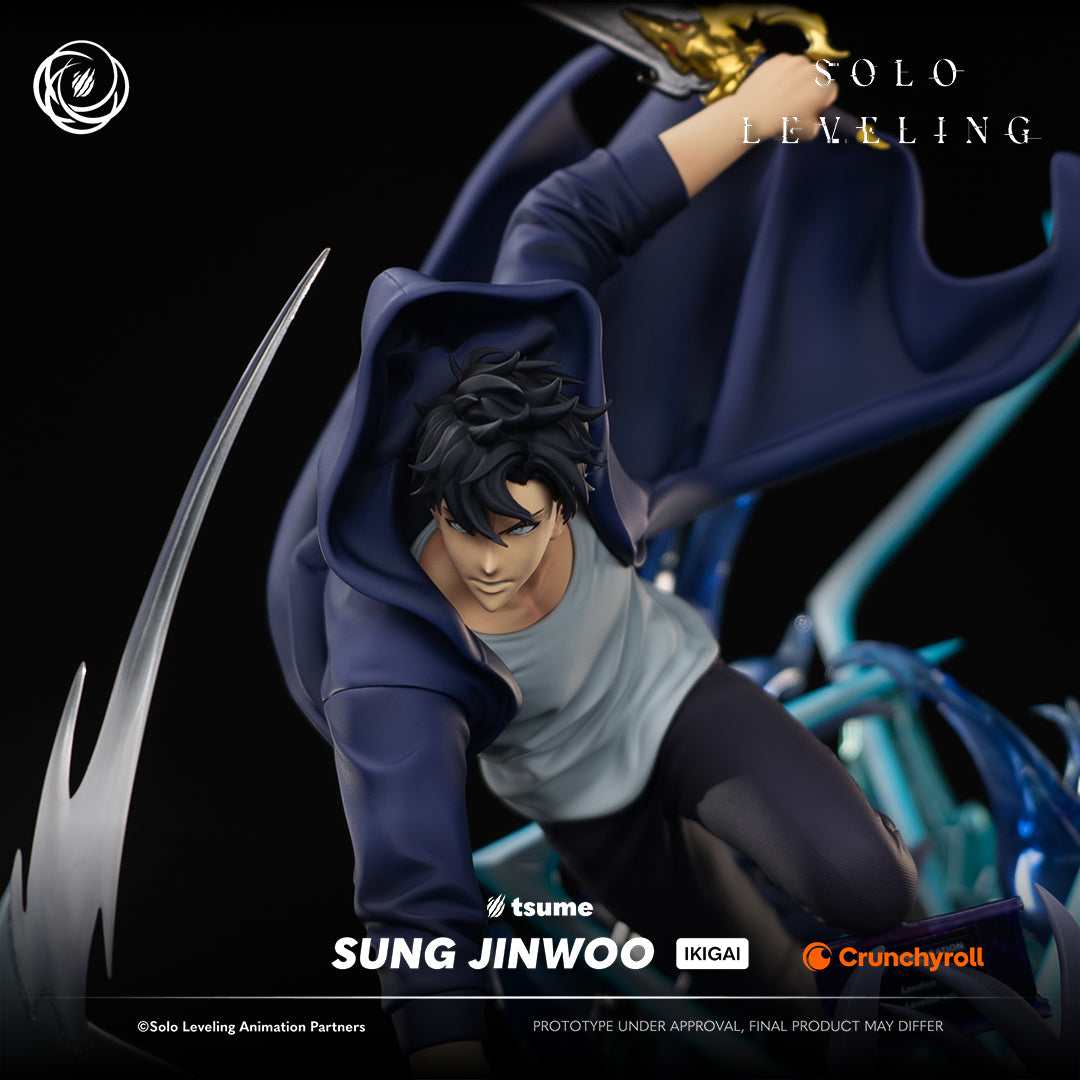 Solo Leveling: Sung Jinwoo Ikigai