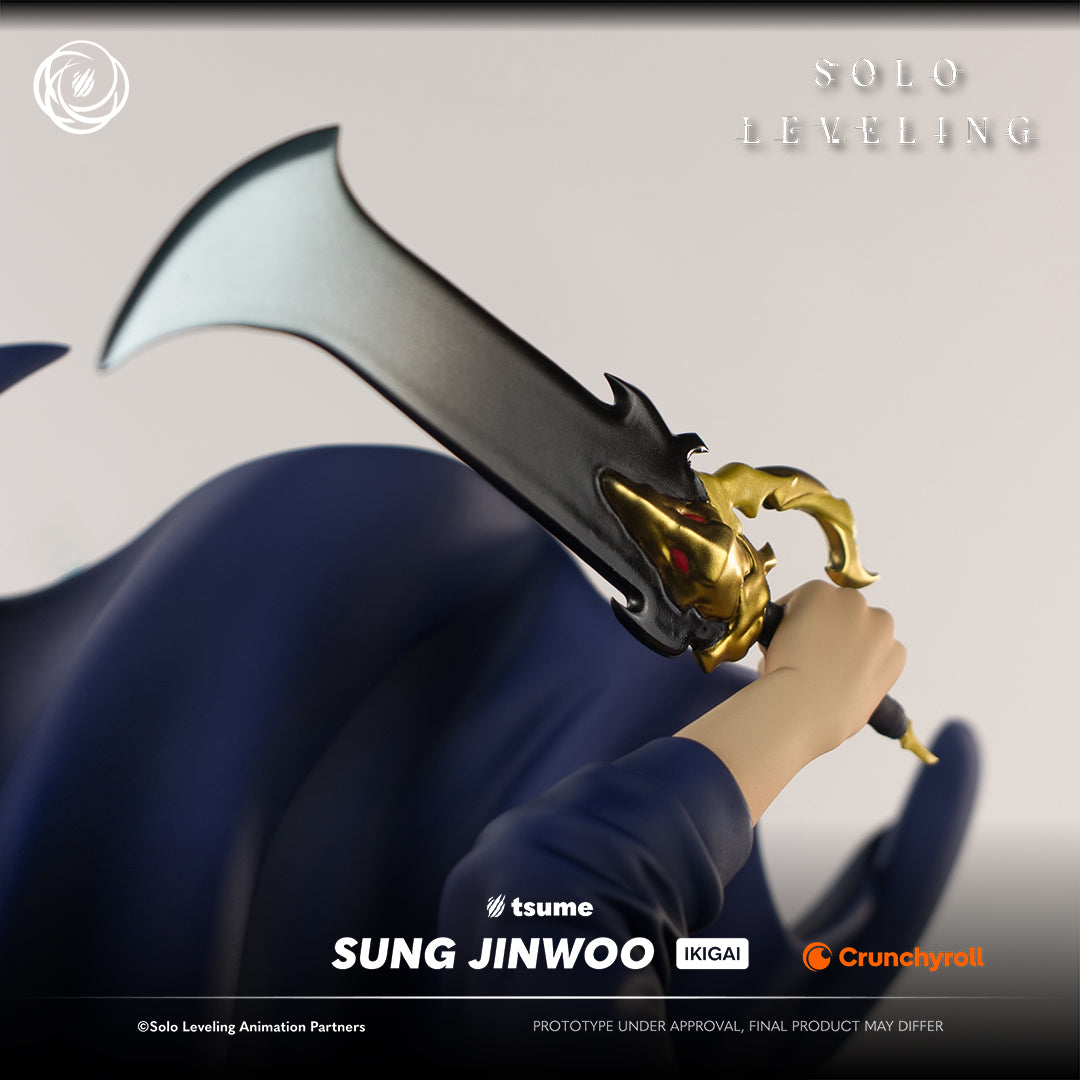 Solo Leveling: Sung Jinwoo Ikigai