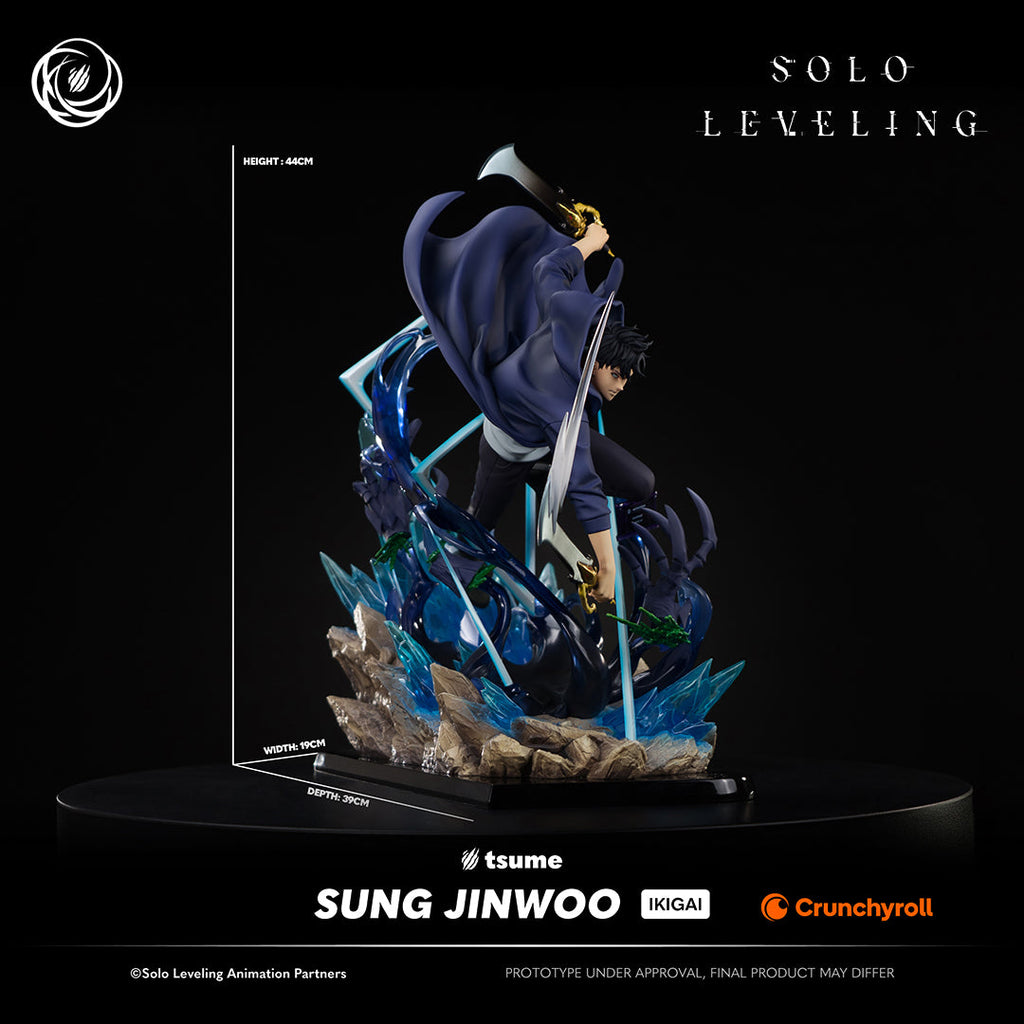 Solo Leveling: Sung Jinwoo Ikigai