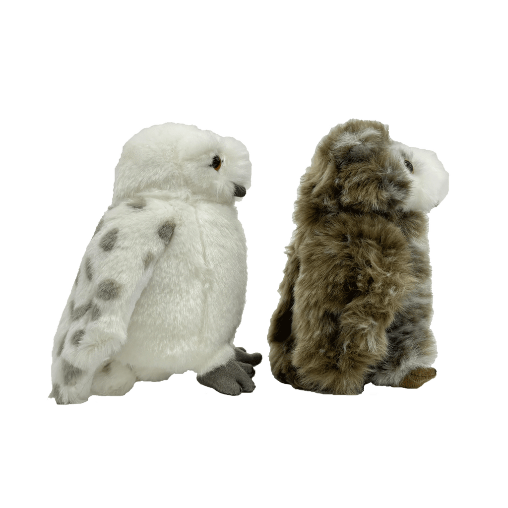 Hedwig and Pigwidgeon Plush Set