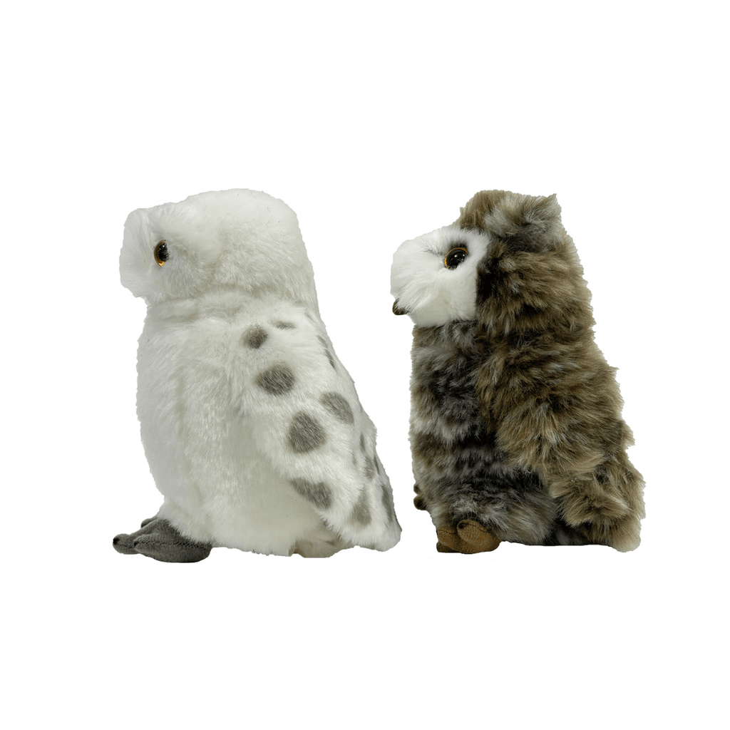Hedwig and Pigwidgeon Plush Set