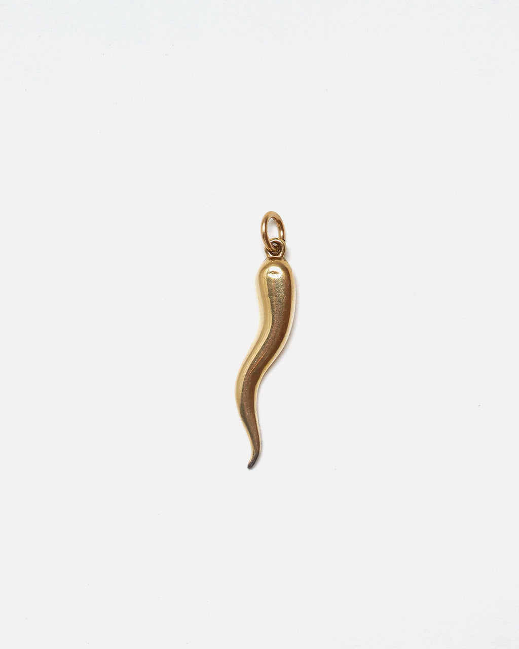 14k Gold Horn Charm
