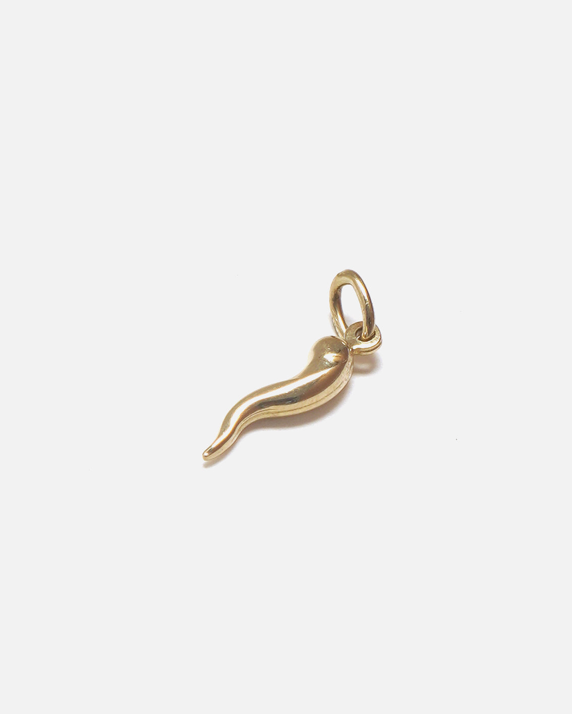 14k Gold Horn Charm