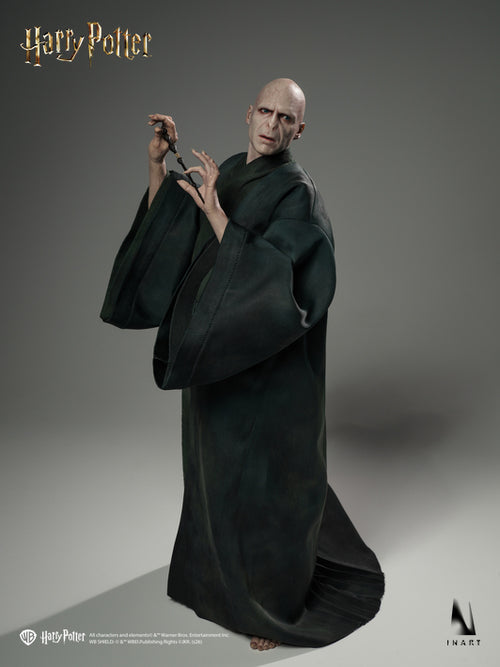 Harry Potter and the Deathly Hallows (2010): Voldemort 1/6 Collectible Figure