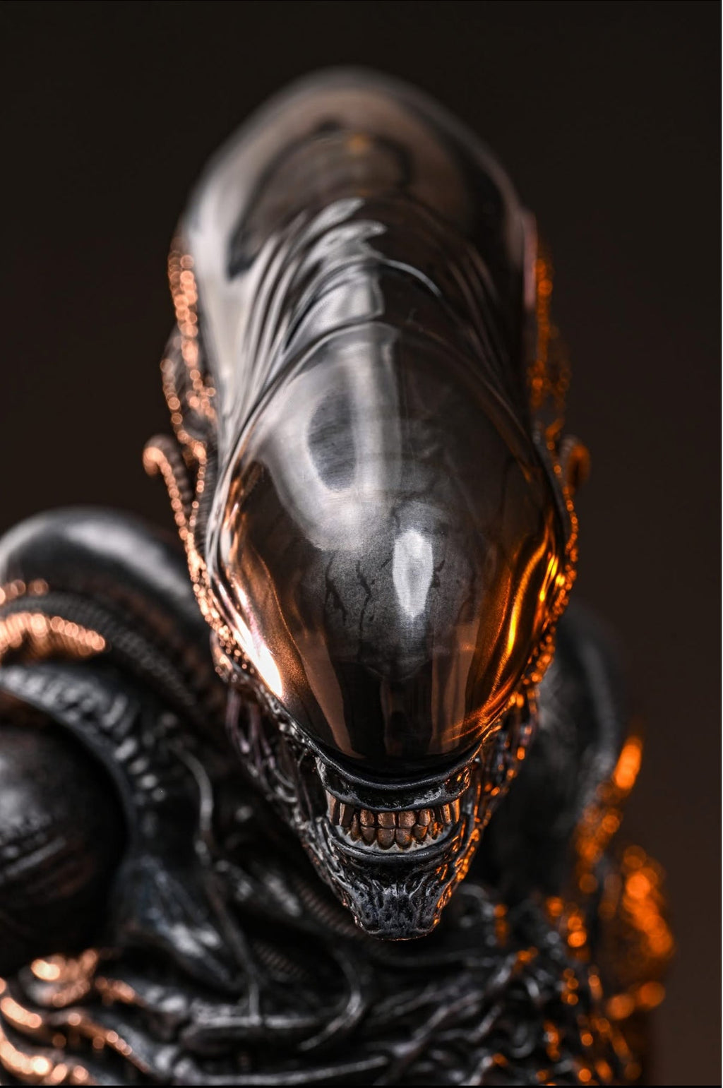 READY🔥Hot Toys MMS784 Alien: Romulus 1/6th scale Scorched Xenomorph Collectible Figure