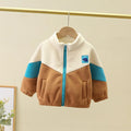 Beige Brown N Blue Color Block Jacket