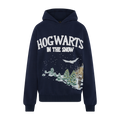 Hogwarts in the Snow Hoodie