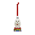 Hedwig Glass Ornament