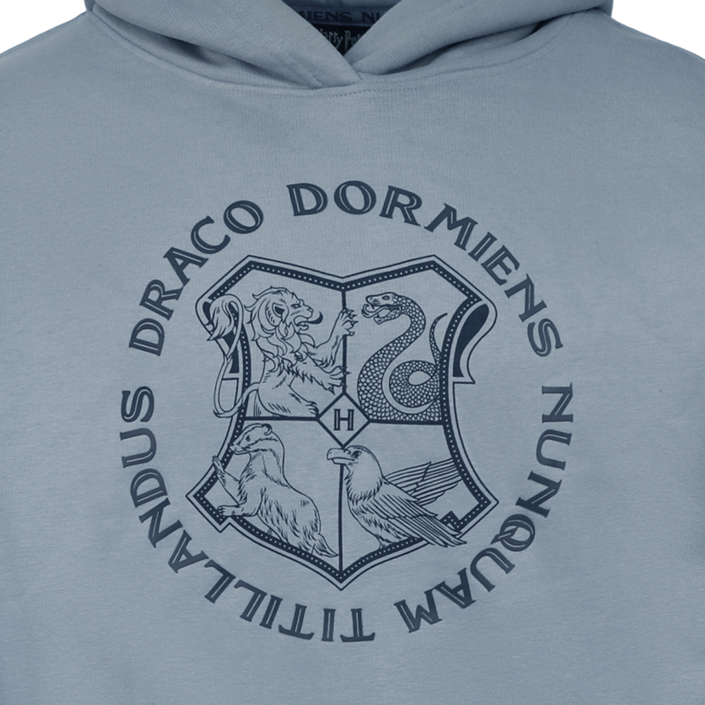 Hogwarts Crest Logo Hoodie