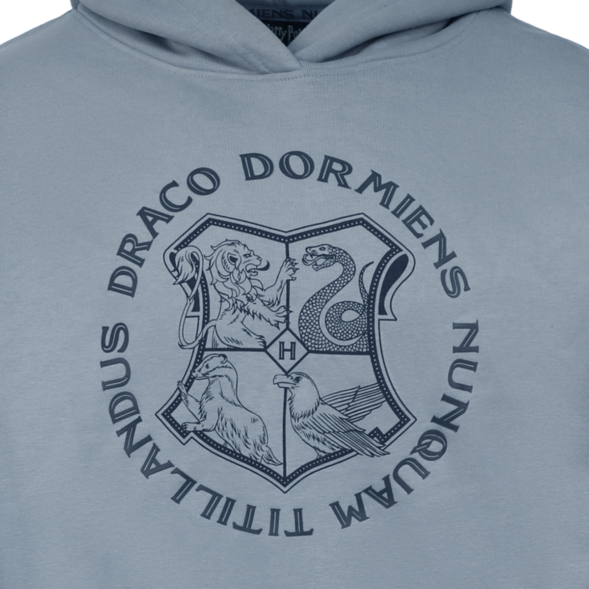 Hogwarts Crest Logo Hoodie