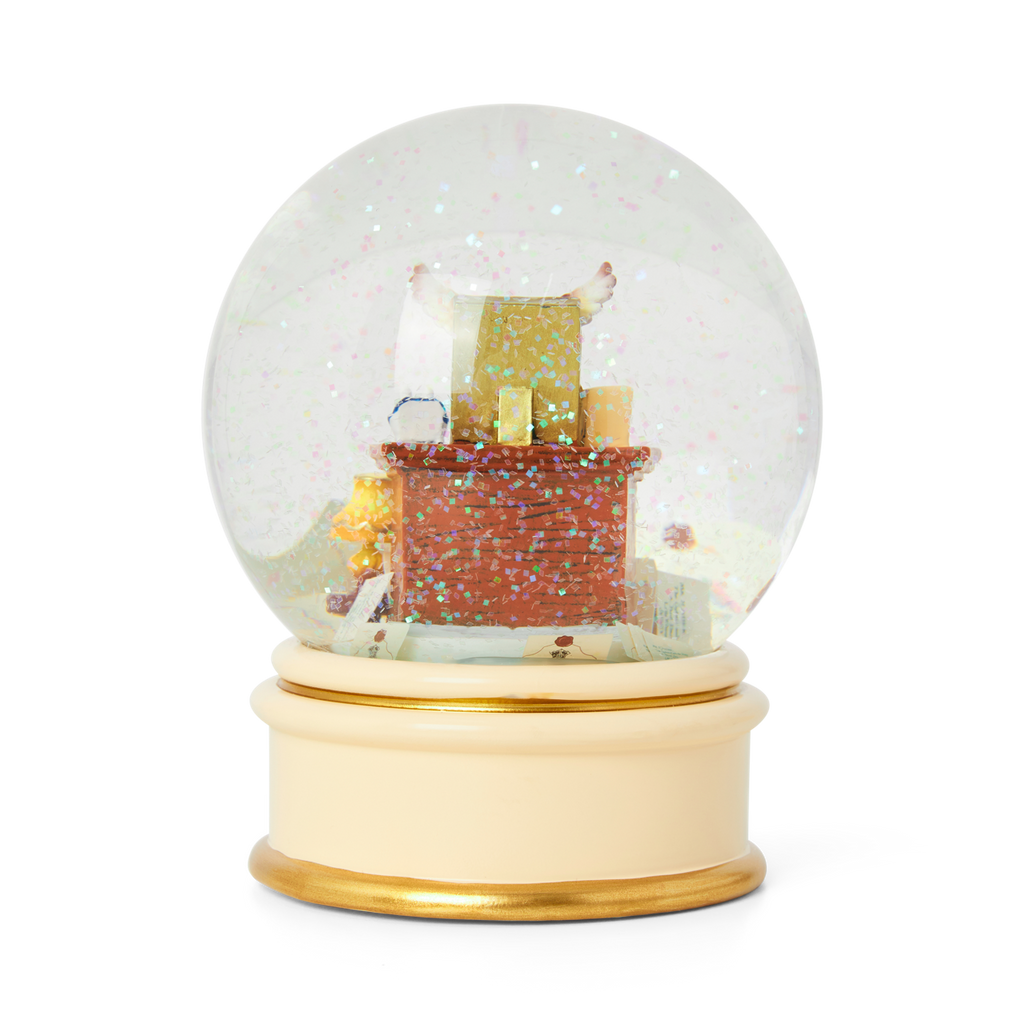 Acceptance Letter Snow Globe