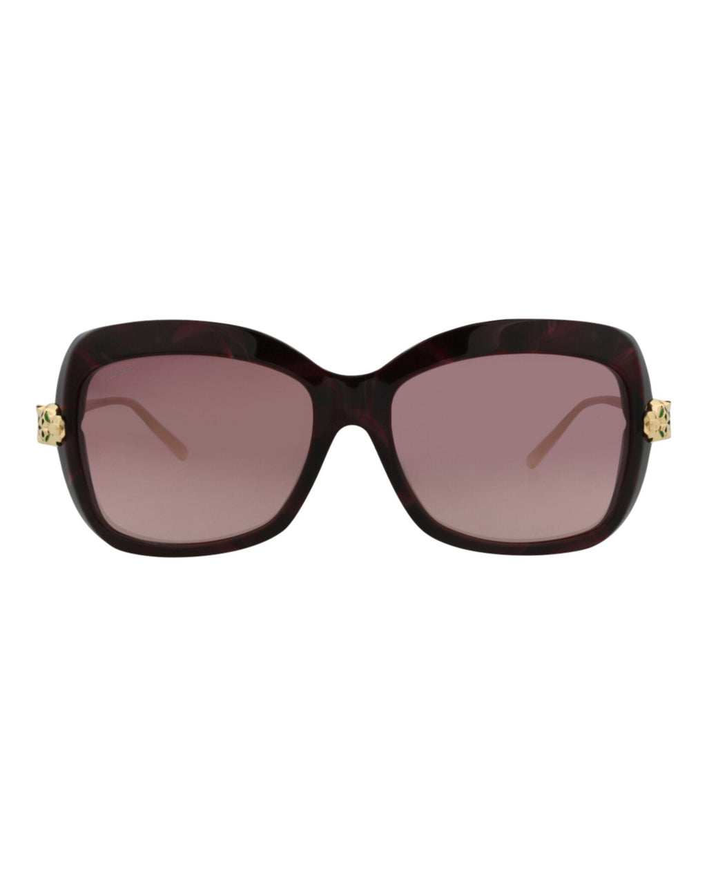 Square-Frame Acetate Sunglasses