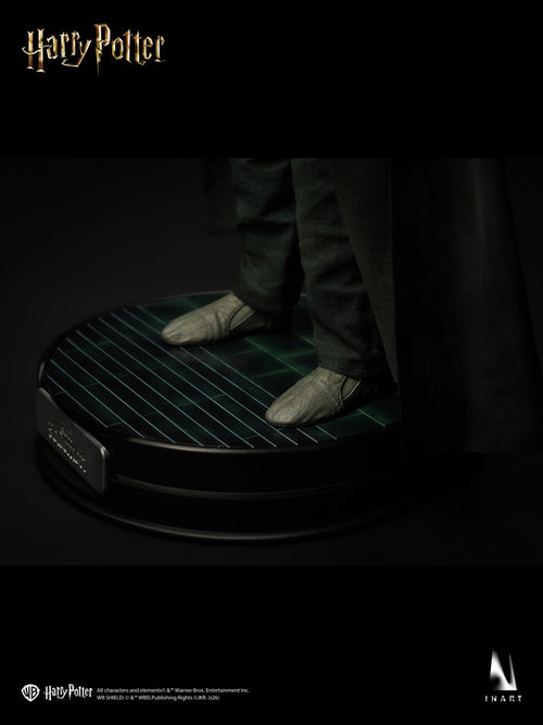 Harry Potter and the Deathly Hallows (2010): Voldemort 1/6 Collectible Figure