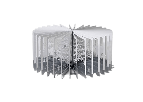 360°书 雪世界 立体书 360°BOOK系列 圣诞版 雪白森林