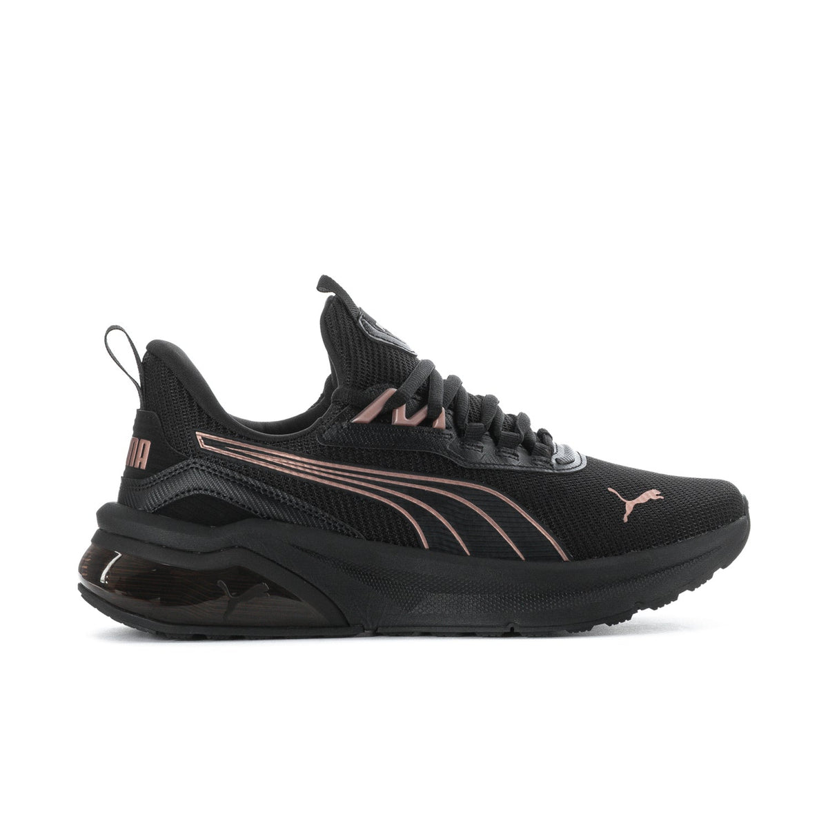 Seeker - Womens