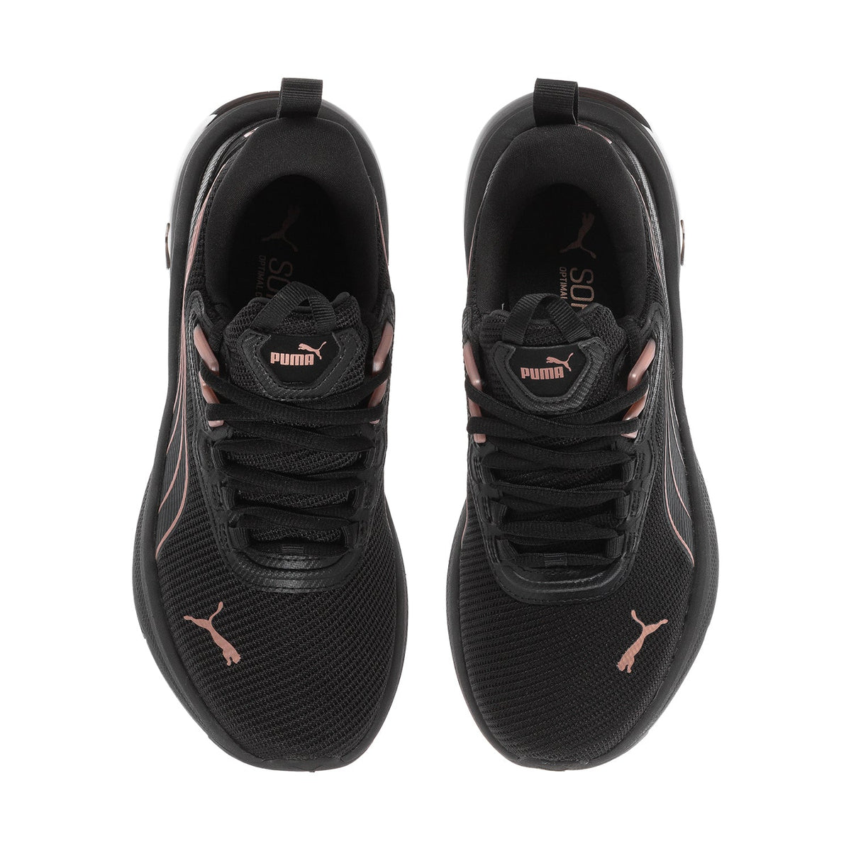 Seeker - Womens