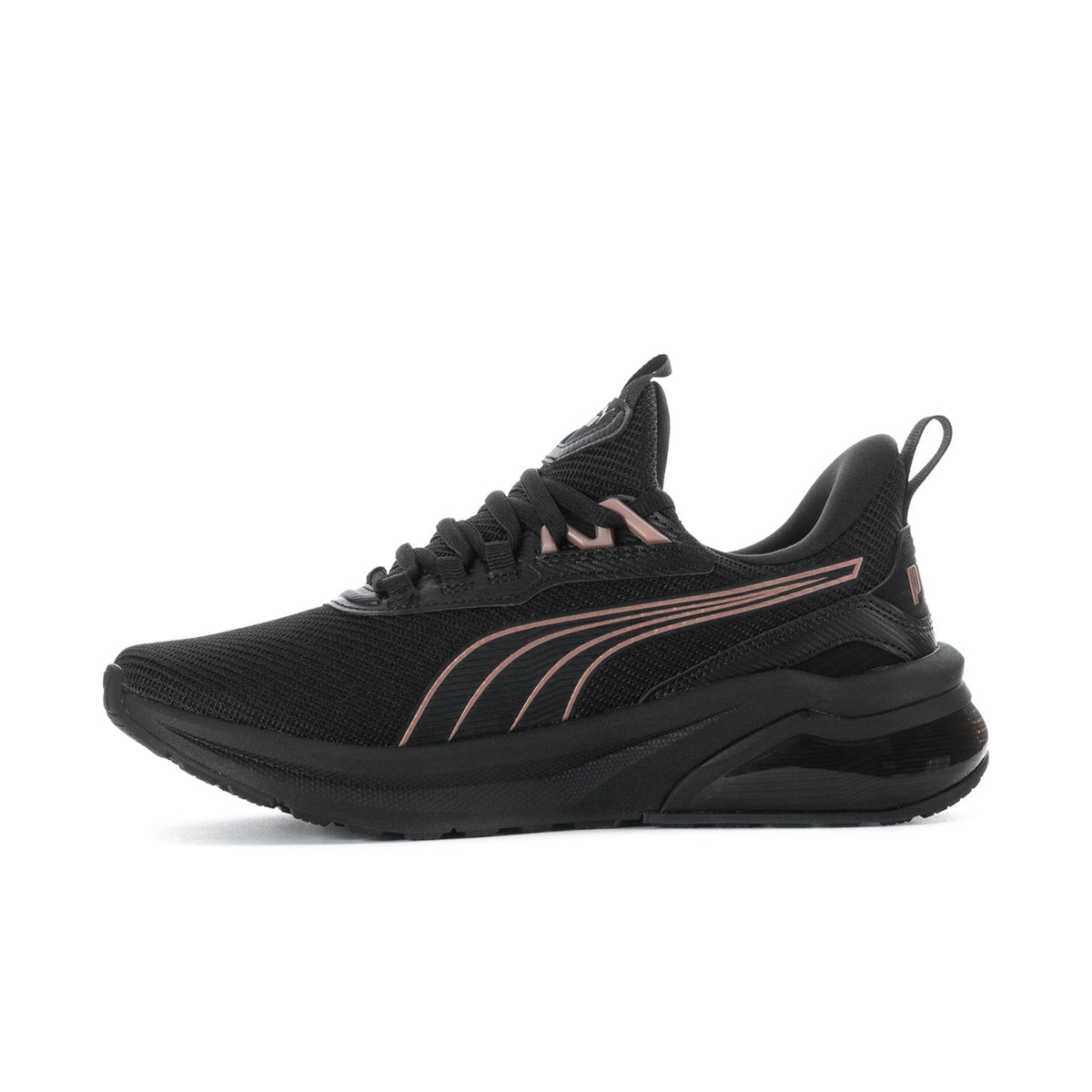 Seeker - Womens
