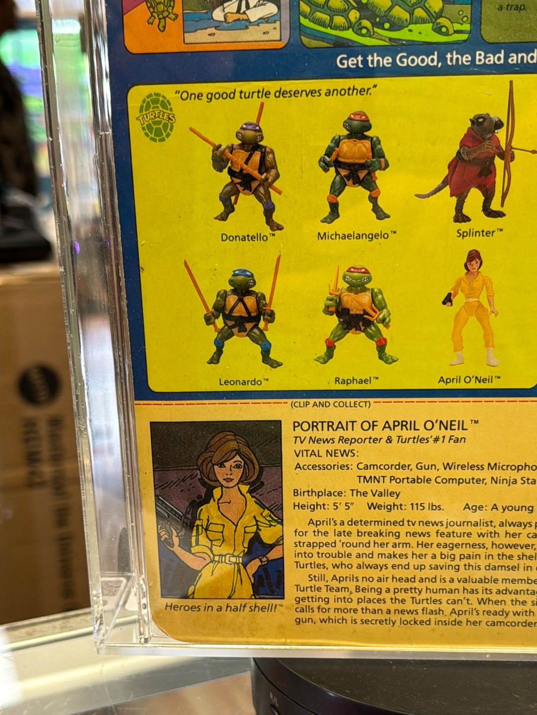 April O’Neil 10 Back No Press (Vintage TMNT Ninja Turtles, Playmates) *CAS Graded 80*
