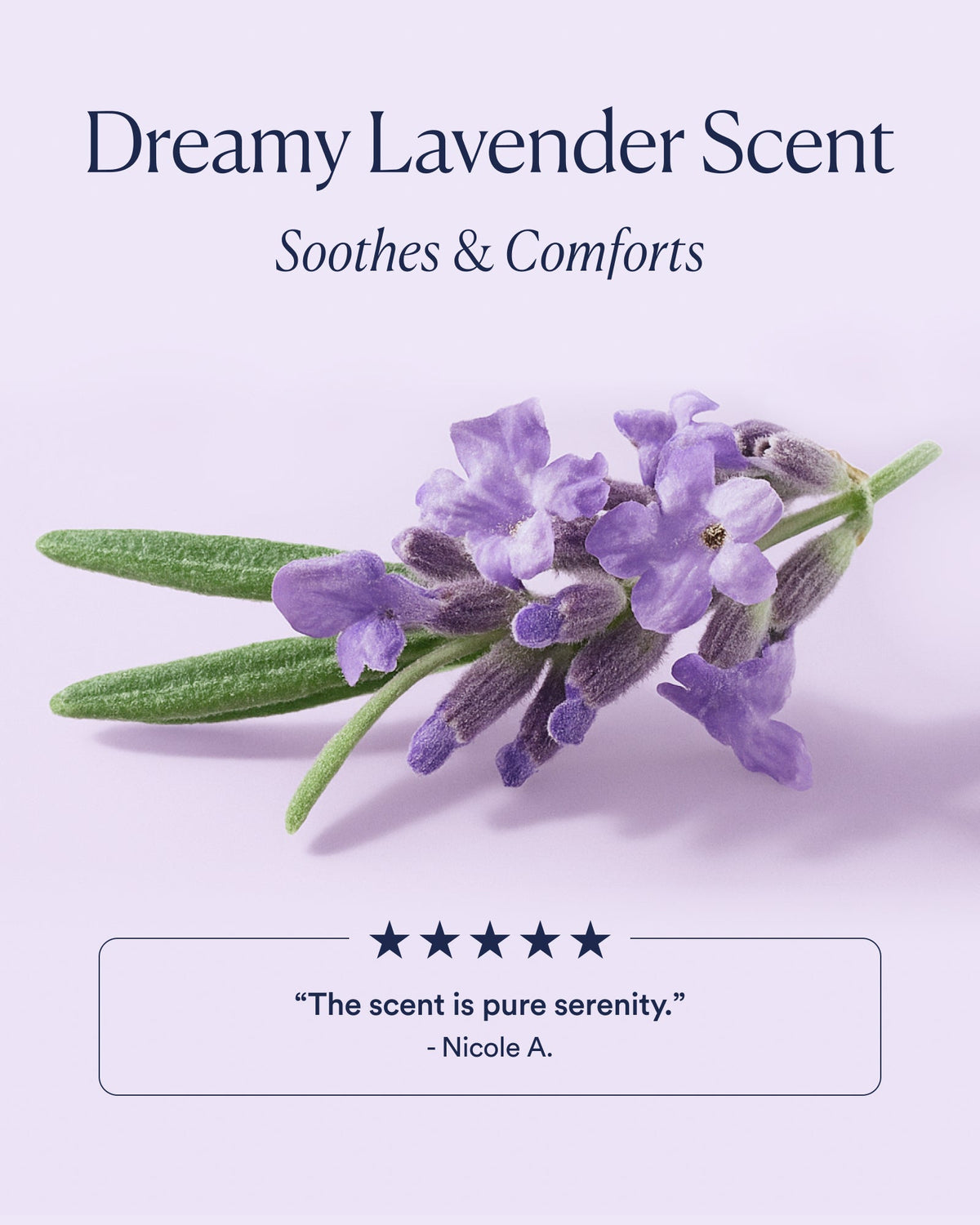 Dream Bio-Retinol Trio