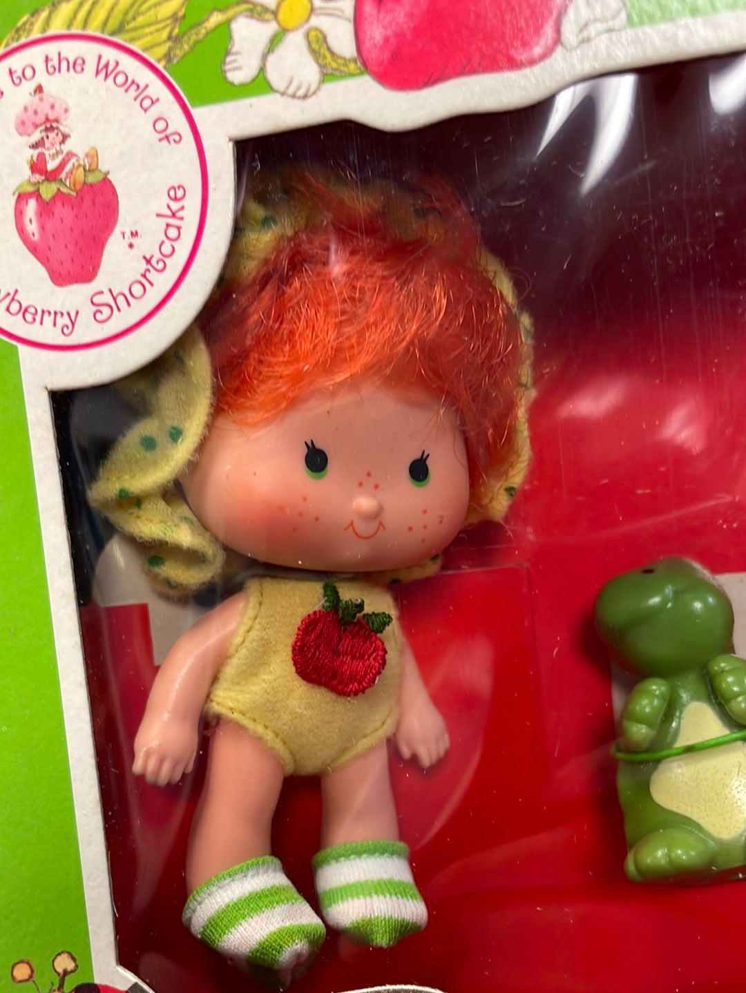 Apple Dumplin with Tea Time Turtle (Vintage Strawberry Shortcake, Kenner) Sealed