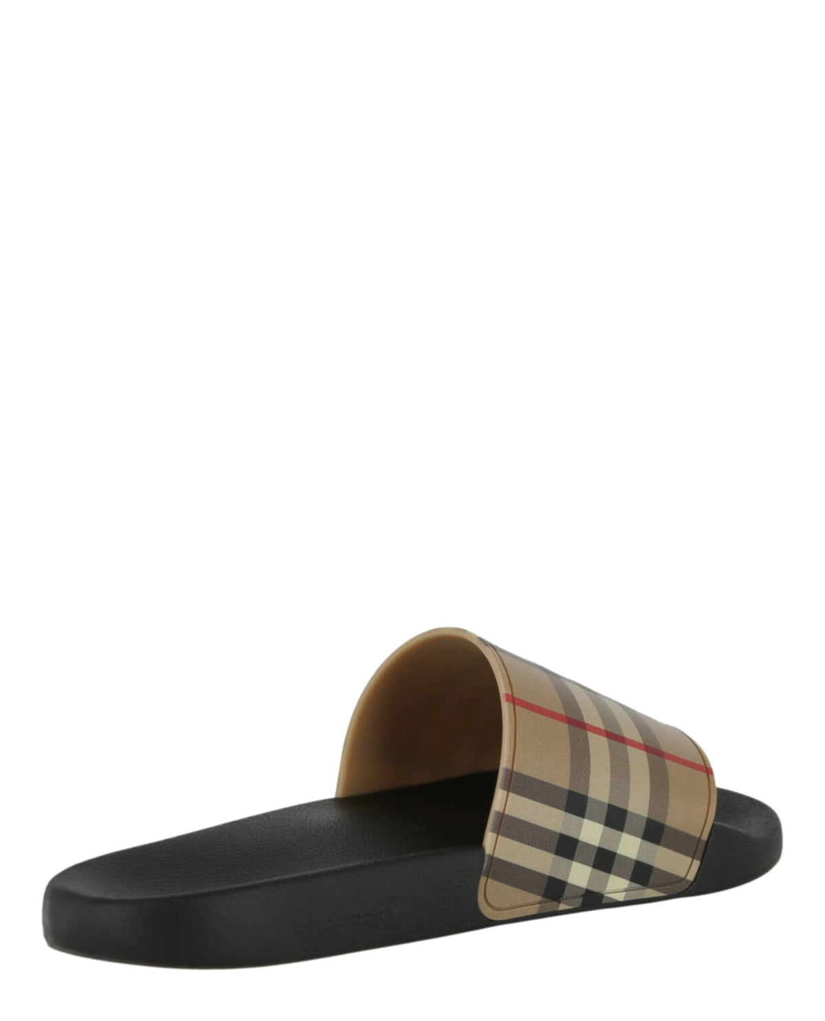 Check Print Slides