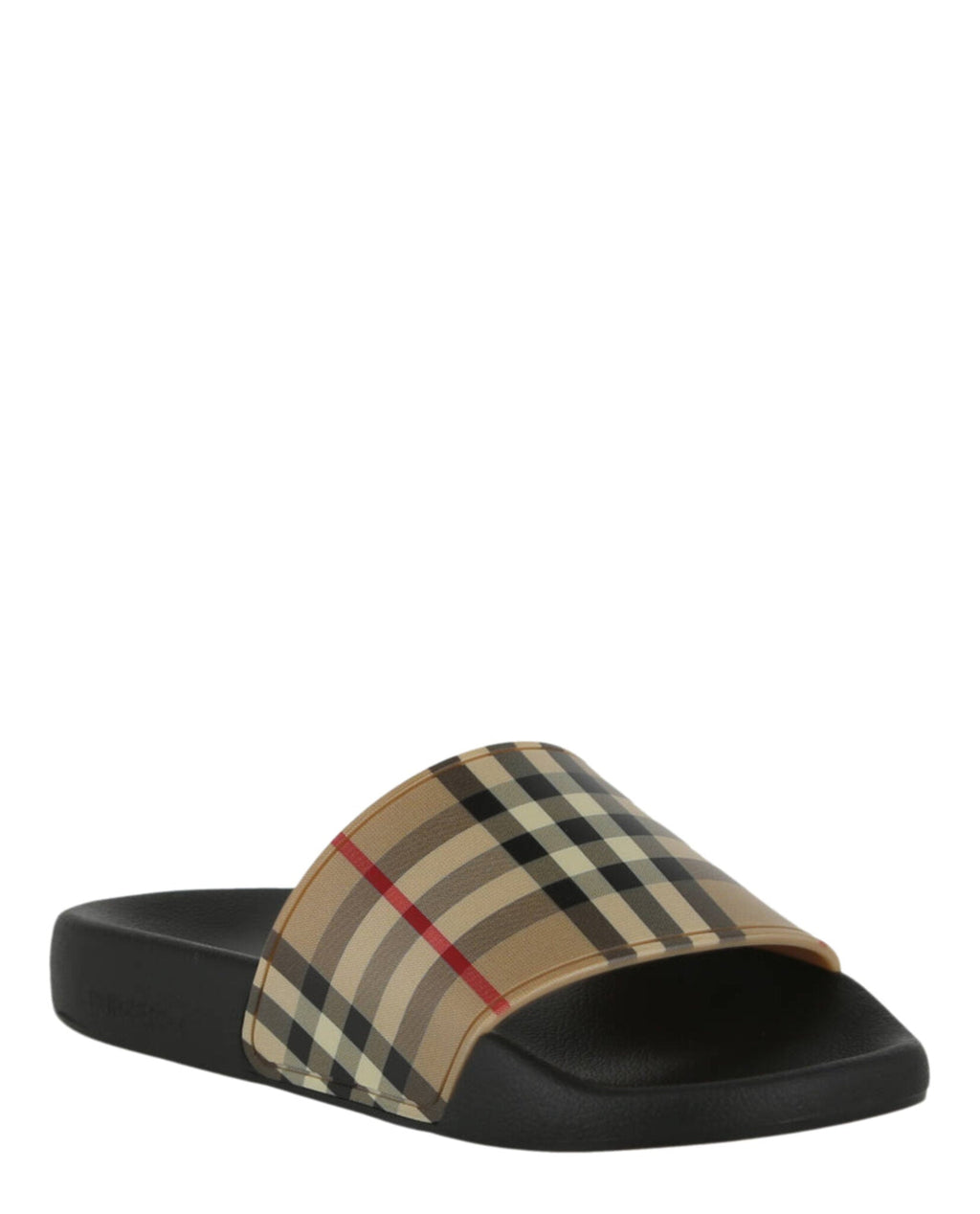Check Print Slides
