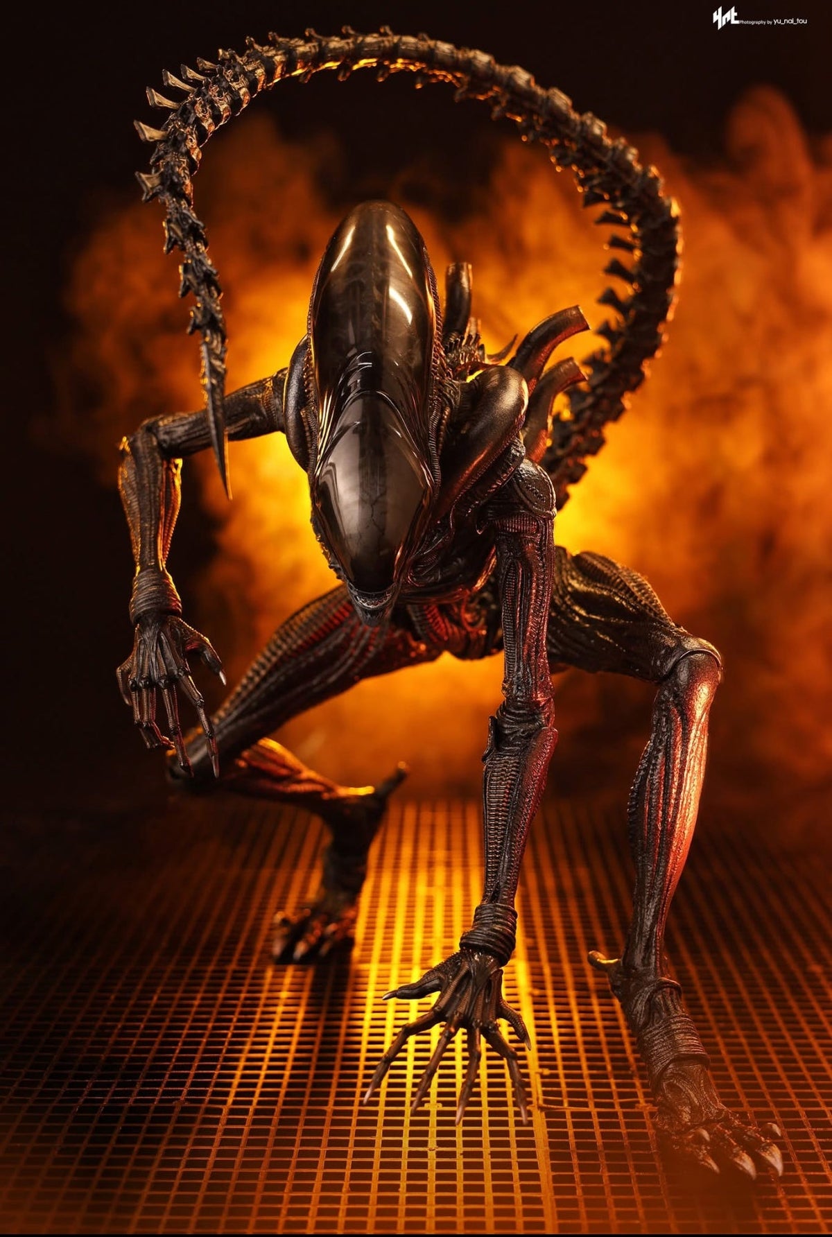 READY🔥Hot Toys MMS784 Alien: Romulus 1/6th scale Scorched Xenomorph Collectible Figure