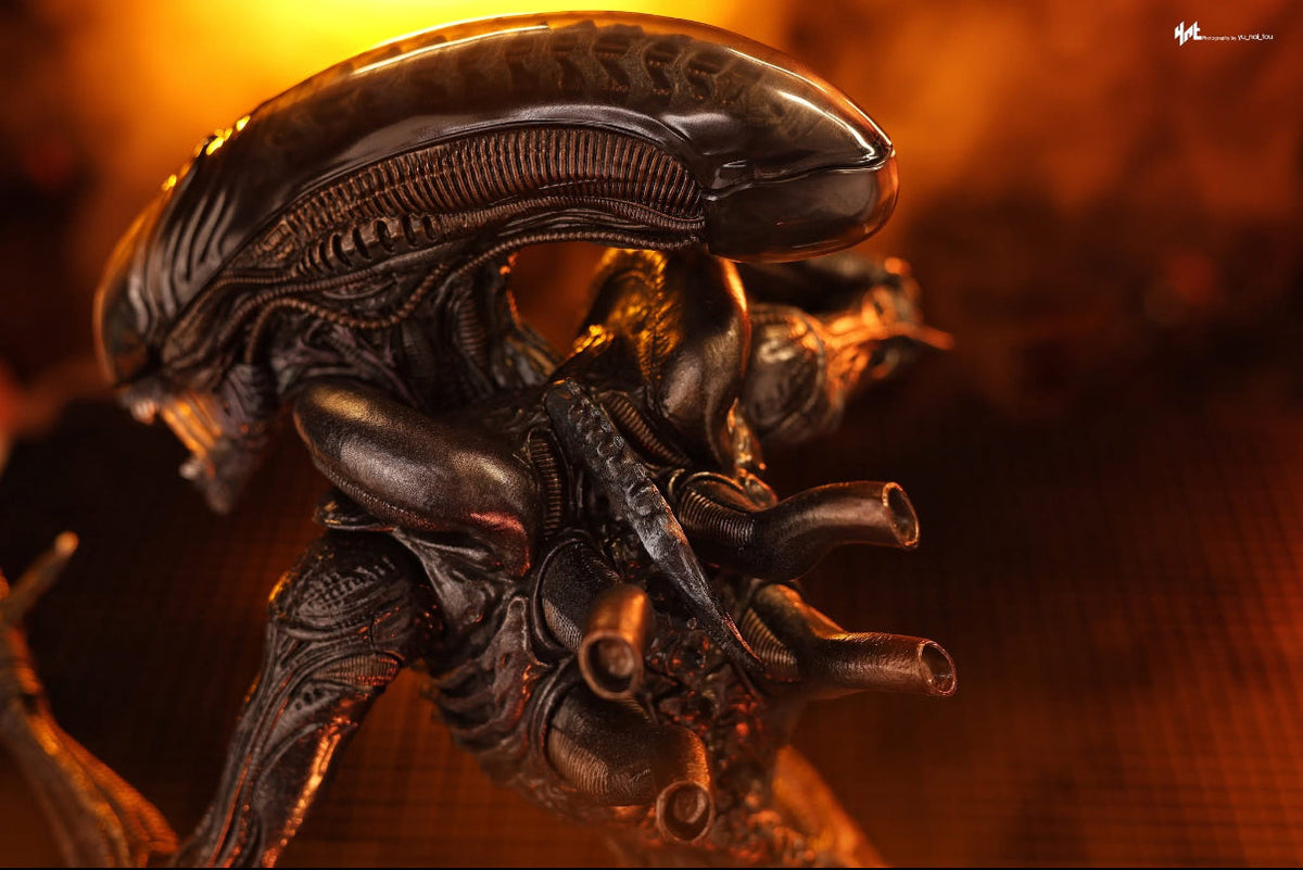 READY🔥Hot Toys MMS784 Alien: Romulus 1/6th scale Scorched Xenomorph Collectible Figure