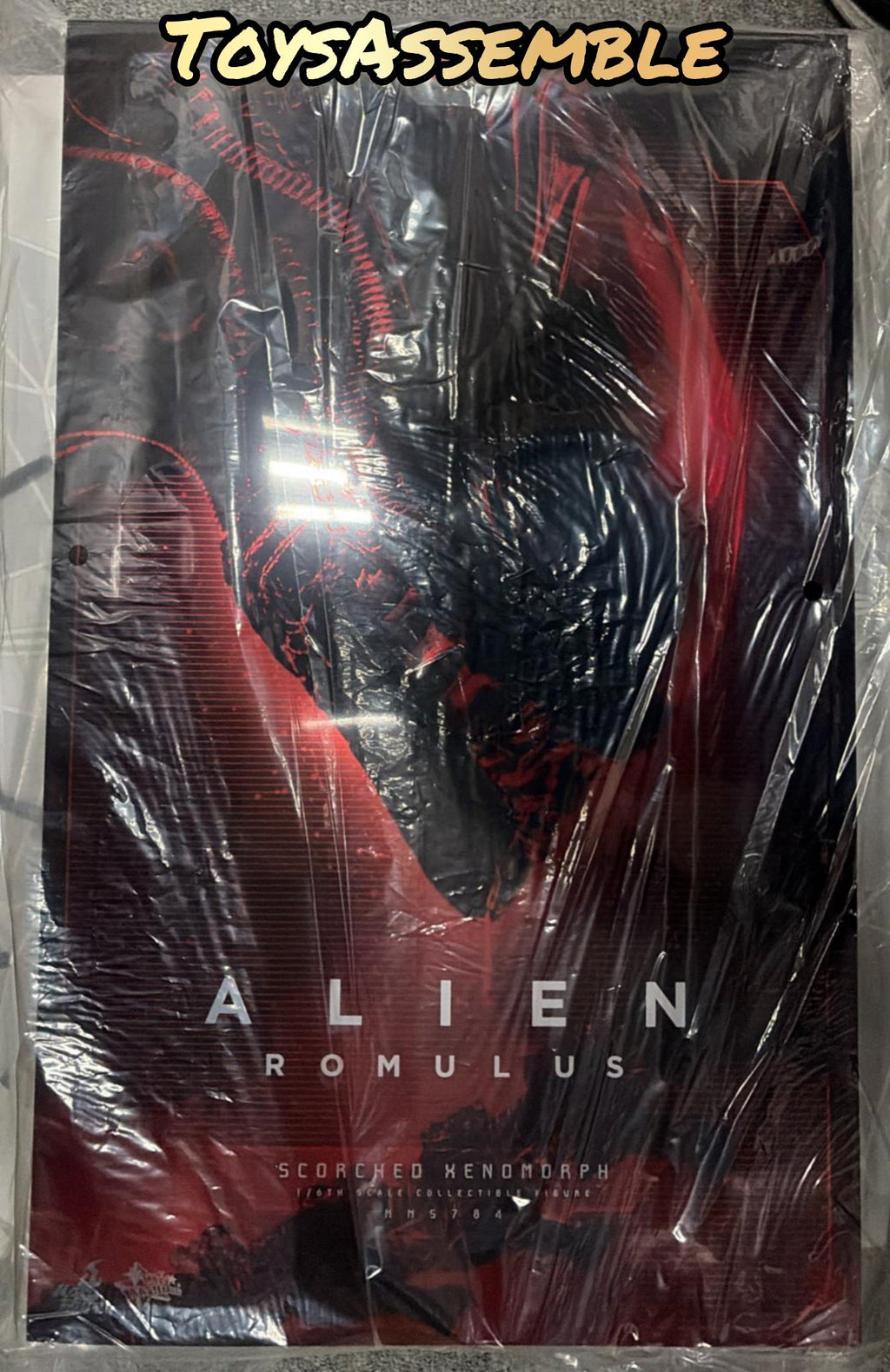 READY🔥Hot Toys MMS784 Alien: Romulus 1/6th scale Scorched Xenomorph Collectible Figure
