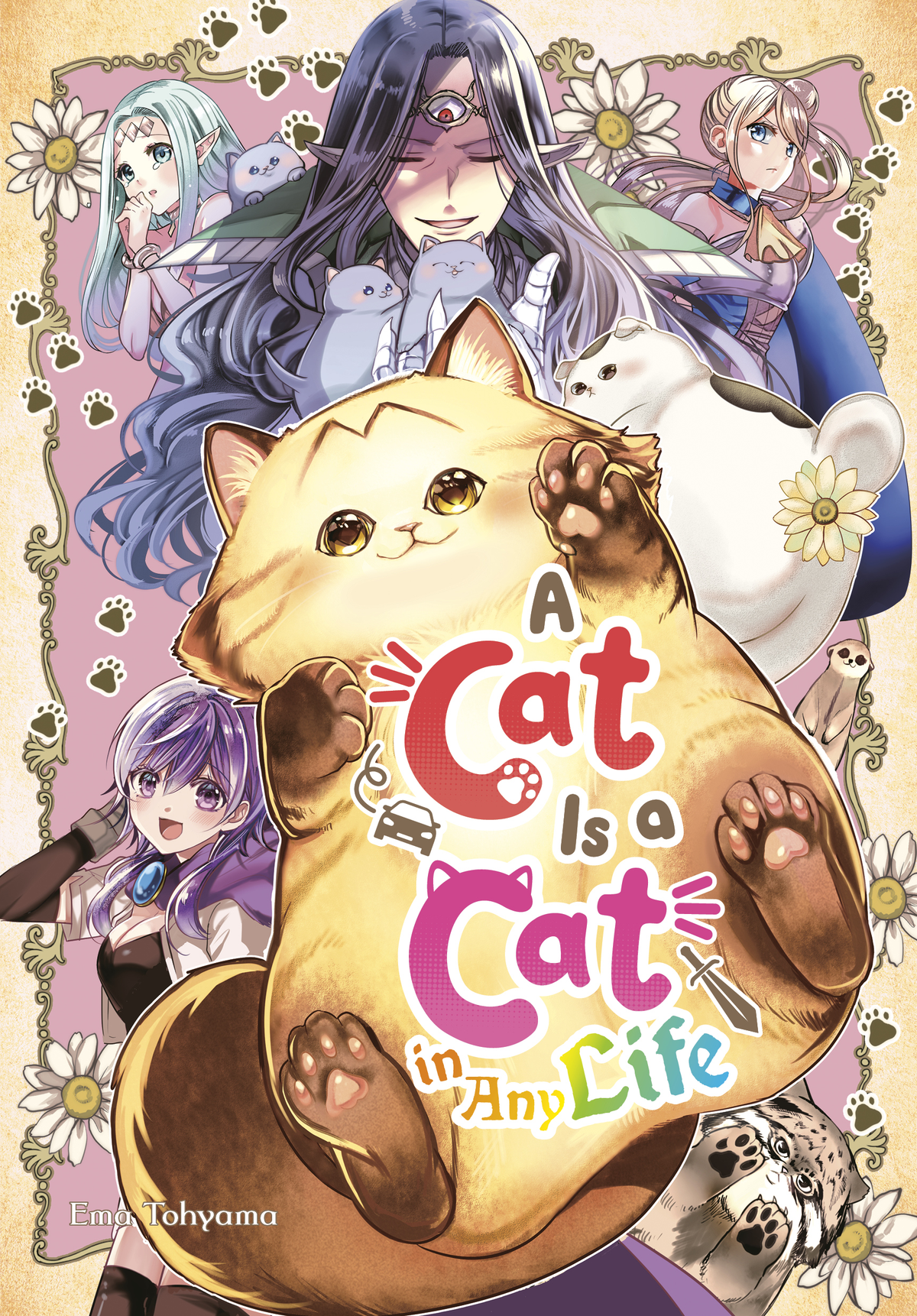 A Cat Is a Cat in Any Life
